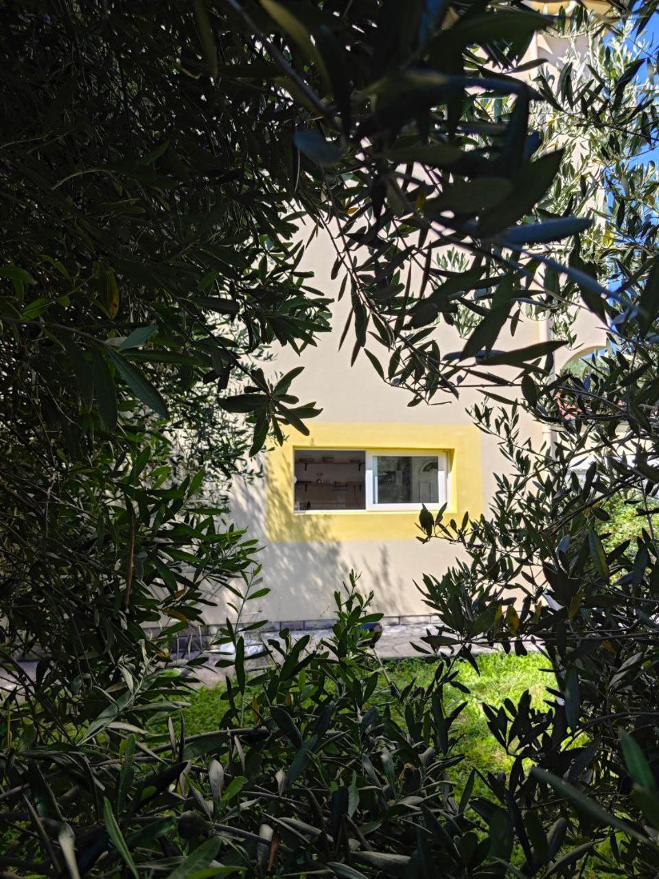 Apartmani Radovic Bijela Dış mekan fotoğraf